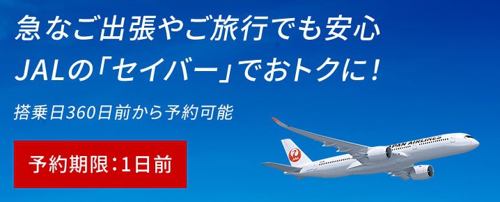JALのセイバー.jpg